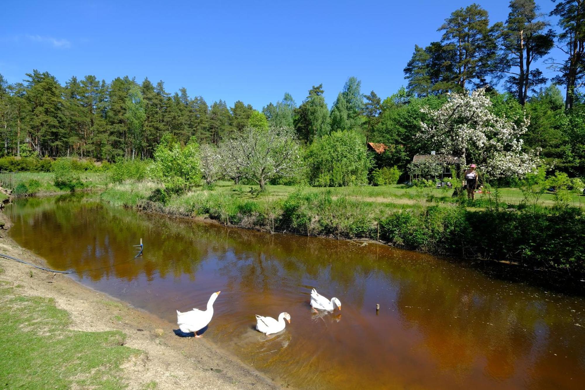 Kallaste Talu- Turismitalu & Holiday Resort Padise Kültér fotó